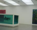 Requin et obsession de la mort, Damien HIRST