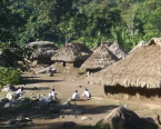 COLOMBIE: Les chrétiens indigènes tiennent bon malgré tout